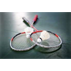 School badminton toernooi